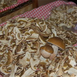 Are You Using Sugar to Boost Your Energy? Porcini Season 150x150 Are You Using Sugar to Boost Your Energy?