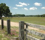 Use Your Head To Get More Energy Now! Part III fence 150x133 Use Your Head To Get More Energy Now! Part III